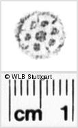 Image Description for https://www.wlb-stuttgart.de/kyriss/images/s0181307.jpg