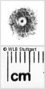 Image Description for https://www.wlb-stuttgart.de/kyriss/images/s0182409.jpg