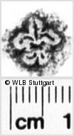 Image Description for https://www.wlb-stuttgart.de/kyriss/images/s0183104.jpg