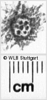 Image Description for https://www.wlb-stuttgart.de/kyriss/images/s0187011.jpg
