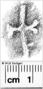 Image Description for https://www.wlb-stuttgart.de/kyriss/images/s0188010.jpg