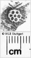 Image Description for https://www.wlb-stuttgart.de/kyriss/images/s0188411.jpg