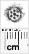 Image Description for https://www.wlb-stuttgart.de/kyriss/images/s0188914.jpg
