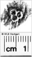 Image Description for https://www.wlb-stuttgart.de/kyriss/images/s0189405.jpg