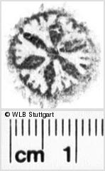 Image Description for https://www.wlb-stuttgart.de/kyriss/images/s0193205.jpg