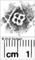 Image Description for https://www.wlb-stuttgart.de/kyriss/images/s0193310.jpg