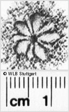 Image Description for https://www.wlb-stuttgart.de/kyriss/images/s0193816.jpg