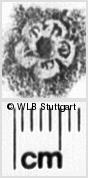 Image Description for https://www.wlb-stuttgart.de/kyriss/images/s0195220.jpg