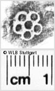 Image Description for https://www.wlb-stuttgart.de/kyriss/images/s0195611.jpg