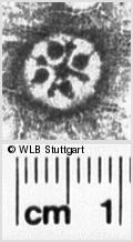 Image Description for https://www.wlb-stuttgart.de/kyriss/images/s0200512.jpg