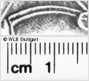 Image Description for https://www.wlb-stuttgart.de/kyriss/images/s0200643.jpg