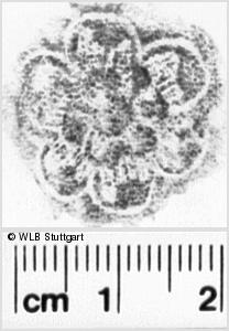 Image Description for https://www.wlb-stuttgart.de/kyriss/images/s0200717.jpg