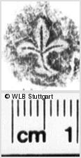 Image Description for https://www.wlb-stuttgart.de/kyriss/images/s0201210.jpg