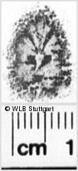 Image Description for https://www.wlb-stuttgart.de/kyriss/images/s0201214.jpg