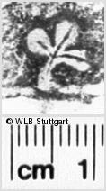 Image Description for https://www.wlb-stuttgart.de/kyriss/images/s0201716.jpg