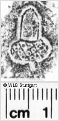 Image Description for https://www.wlb-stuttgart.de/kyriss/images/s0202928.jpg