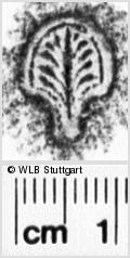 Image Description for https://www.wlb-stuttgart.de/kyriss/images/s0203301.jpg