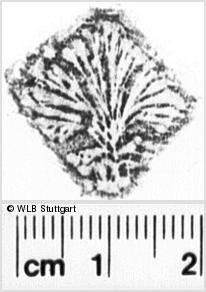 Image Description for https://www.wlb-stuttgart.de/kyriss/images/s0204128.jpg