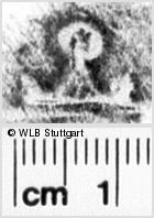 Image Description for https://www.wlb-stuttgart.de/kyriss/images/s0204905.jpg