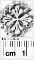 Image Description for https://www.wlb-stuttgart.de/kyriss/images/s0205002.jpg