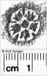 Image Description for https://www.wlb-stuttgart.de/kyriss/images/s0212214.jpg