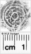 Image Description for https://www.wlb-stuttgart.de/kyriss/images/s0212820.jpg