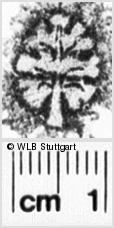 Image Description for https://www.wlb-stuttgart.de/kyriss/images/s0212823.jpg