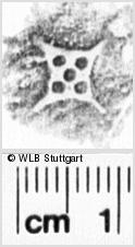 Image Description for https://www.wlb-stuttgart.de/kyriss/images/s0213430.jpg