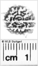 Image Description for https://www.wlb-stuttgart.de/kyriss/images/s0213610.jpg