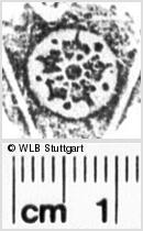 Image Description for https://www.wlb-stuttgart.de/kyriss/images/s0213806.jpg
