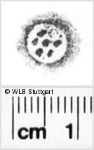 Image Description for https://www.wlb-stuttgart.de/kyriss/images/s0215422.jpg