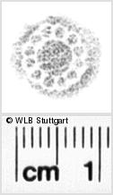 Image Description for https://www.wlb-stuttgart.de/kyriss/images/s0215439.jpg