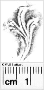 Image Description for https://www.wlb-stuttgart.de/kyriss/images/s0215706.jpg
