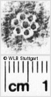 Image Description for https://www.wlb-stuttgart.de/kyriss/images/s0216324.jpg