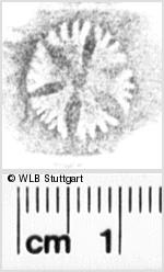 Image Description for https://www.wlb-stuttgart.de/kyriss/images/s0216508.jpg