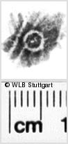 Image Description for https://www.wlb-stuttgart.de/kyriss/images/s0217308.jpg