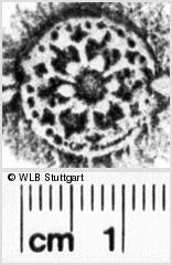 Image Description for https://www.wlb-stuttgart.de/kyriss/images/s0217404.jpg