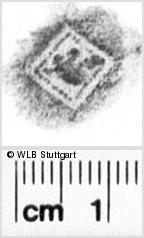 Image Description for https://www.wlb-stuttgart.de/kyriss/images/s0218106.jpg