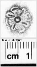 Image Description for https://www.wlb-stuttgart.de/kyriss/images/s0218525.jpg