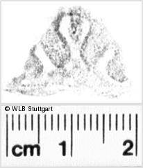Image Description for https://www.wlb-stuttgart.de/kyriss/images/s0218612.jpg
