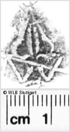 Image Description for https://www.wlb-stuttgart.de/kyriss/images/s0218810.jpg