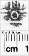Image Description for https://www.wlb-stuttgart.de/kyriss/images/s0219011.jpg