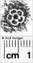 Image Description for https://www.wlb-stuttgart.de/kyriss/images/s0219015.jpg