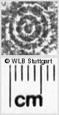 Image Description for https://www.wlb-stuttgart.de/kyriss/images/s0220213.jpg