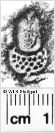 Image Description for https://www.wlb-stuttgart.de/kyriss/images/s0222208.jpg