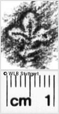 Image Description for https://www.wlb-stuttgart.de/kyriss/images/s0223308.jpg