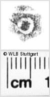 Image Description for https://www.wlb-stuttgart.de/kyriss/images/s0223611.jpg