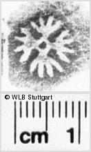 Image Description for https://www.wlb-stuttgart.de/kyriss/images/s0242716.jpg
