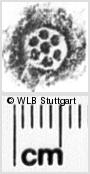 Image Description for https://www.wlb-stuttgart.de/kyriss/images/s0244610.jpg