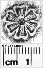 Image Description for https://www.wlb-stuttgart.de/kyriss/images/s0245507.jpg